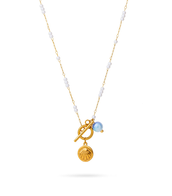 Delicate Ombre Necklace